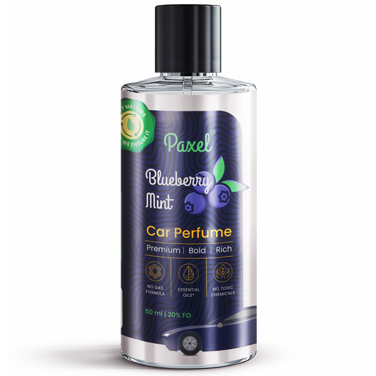 Paxel Blueberry Mint Car Perfume